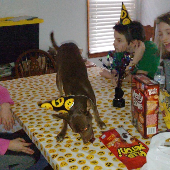 Meet your Posher, Carrie - Picture 4 of 6